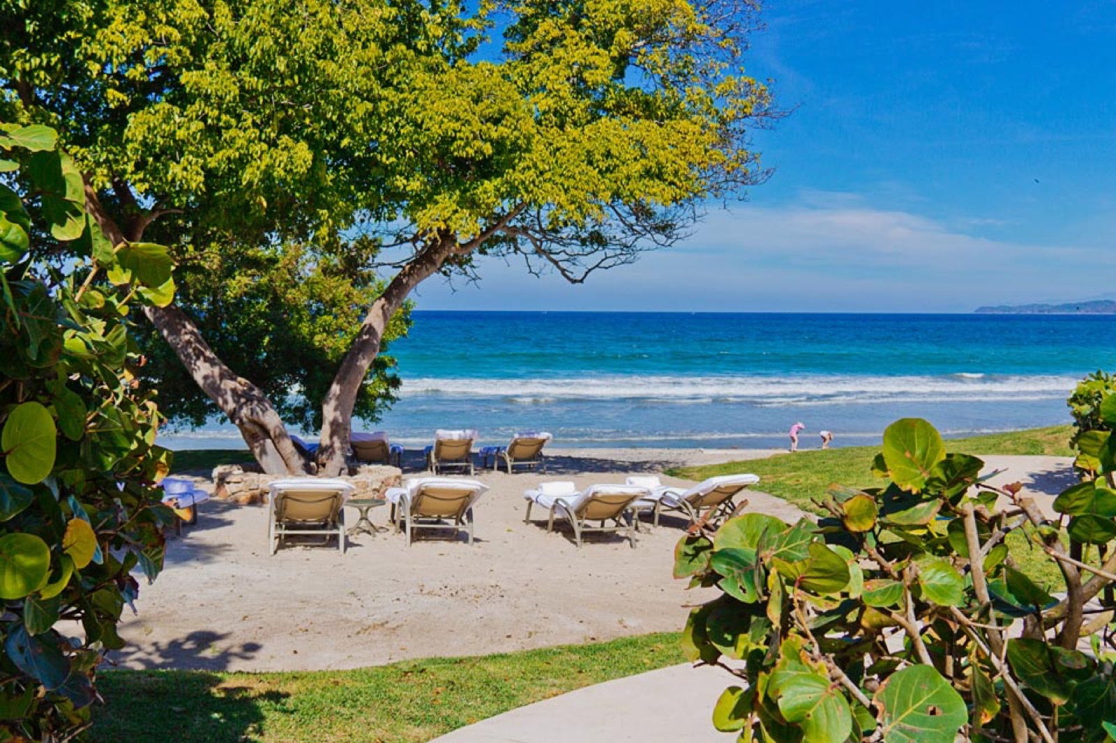 Relaxing beach view with lounge chairs